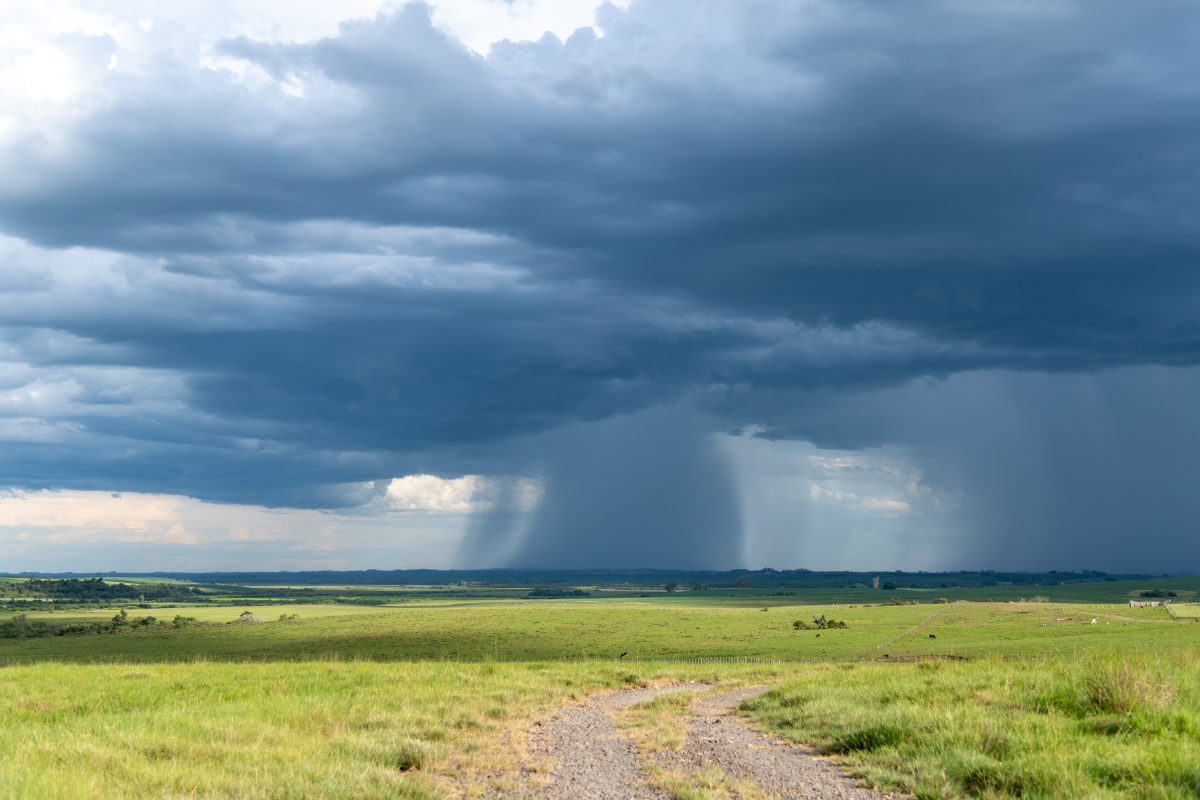 Foto: Adobe Stock