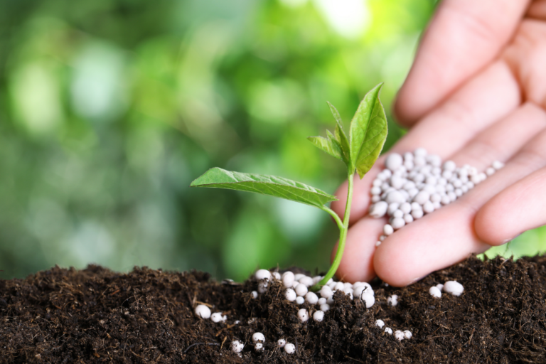 Fertilizante funcional: novo aliado contra as mudanças climáticas