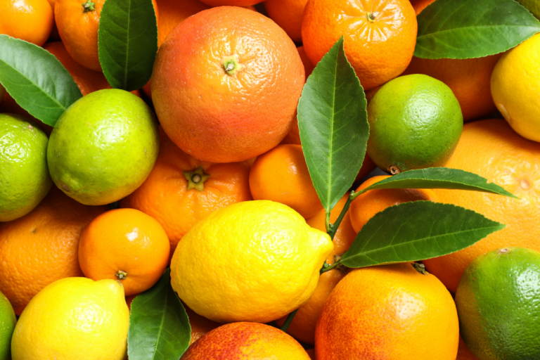 Brasil abre mercado da Índia para exportar 5 frutas cítricas 
