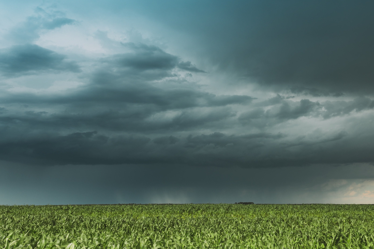 Foto: Adobe Stock