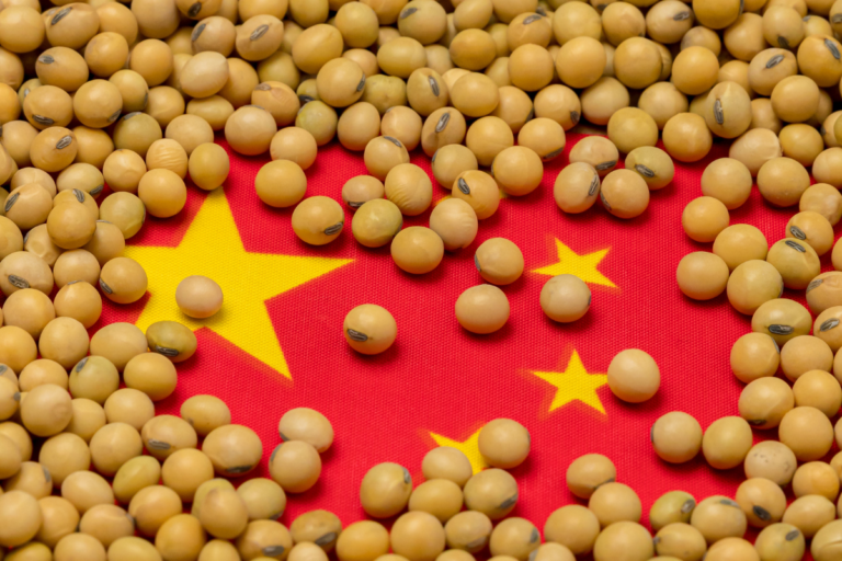 China: importação de soja recua 7,9% no 1º trimestre