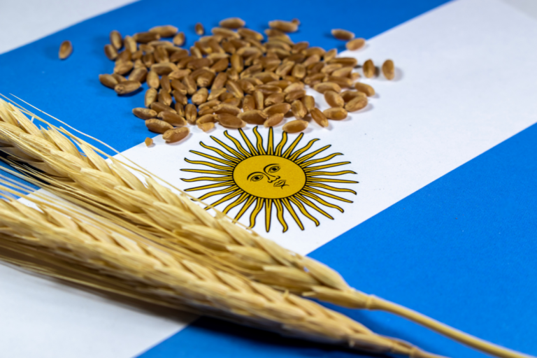 Redução das taxas de exportações da Argentina tem data para acabar