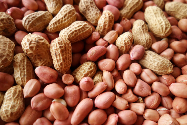 Você sabia que o amendoim é um legume?