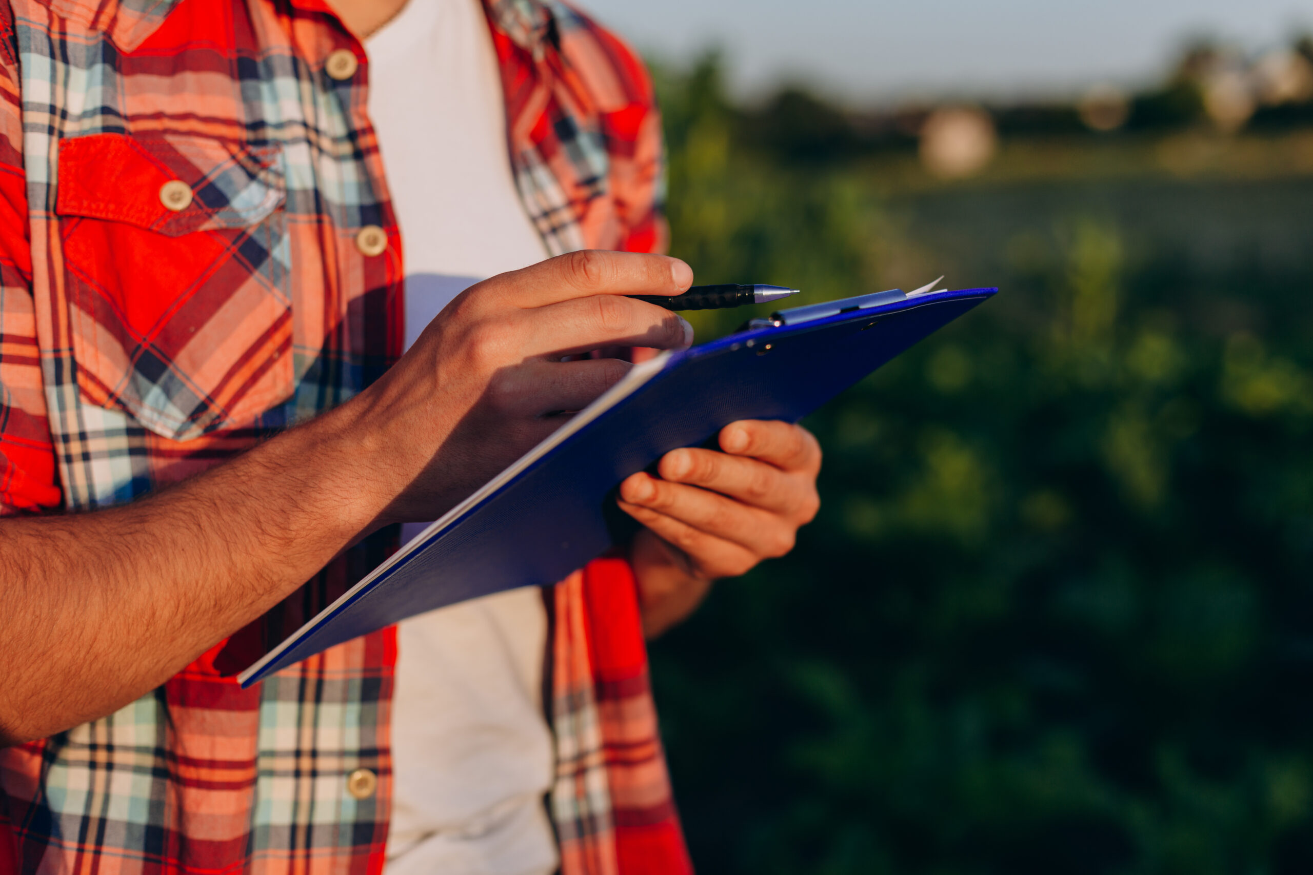 Foto: Adobe Stock