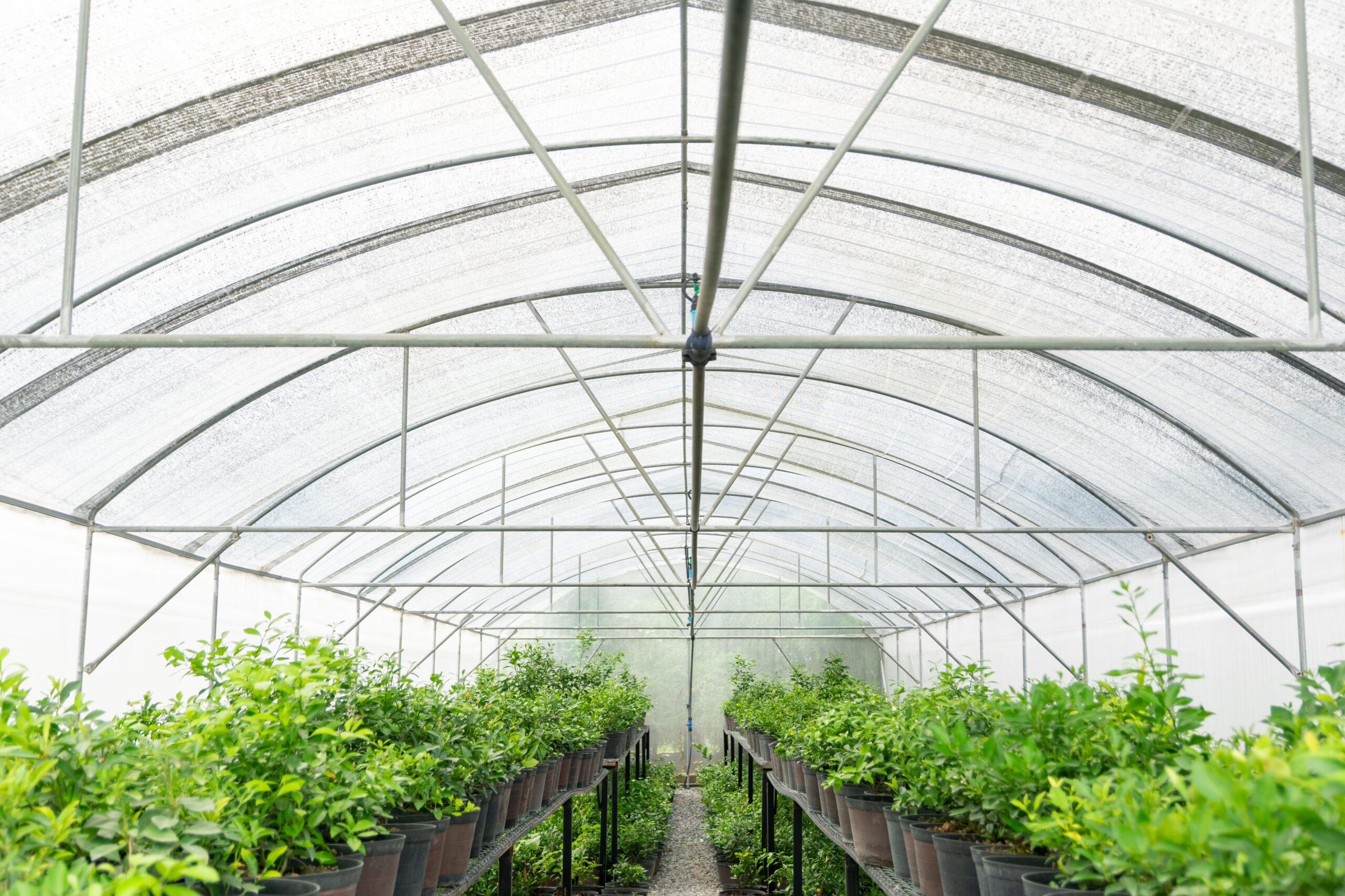 Foto: Adobe Stock