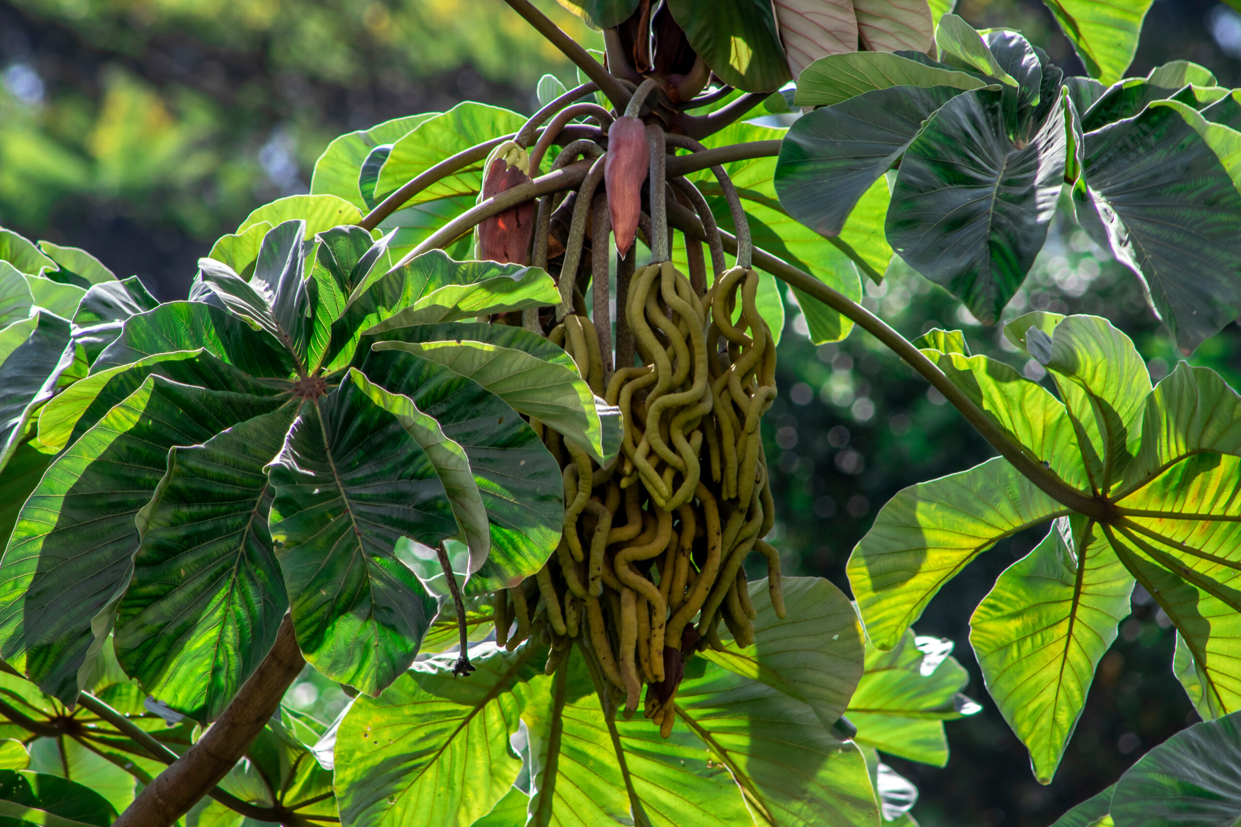 Foto: Adobe Stock