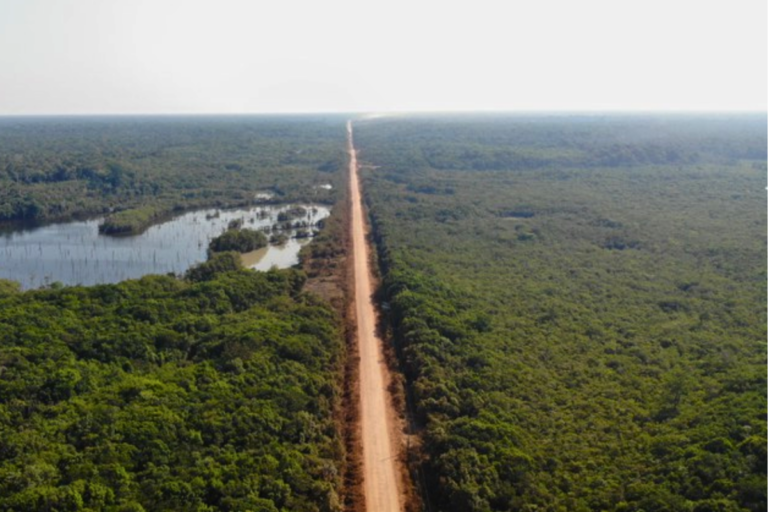PSDB entra com ação no STF exigindo pavimentação da BR-139