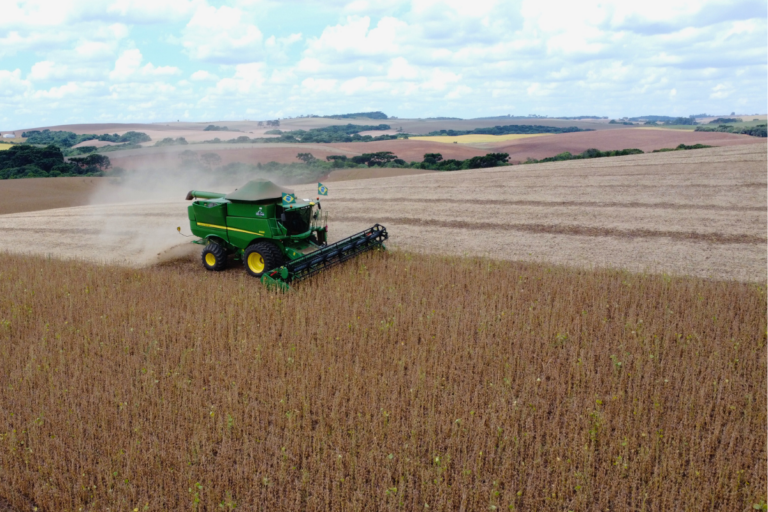 Conab: país colheu 81,4% de área de soja