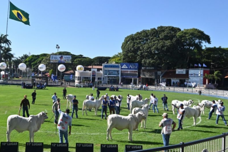 ExpoZebu começa neste sábado com expectativa de R$ 200 mi em negócios