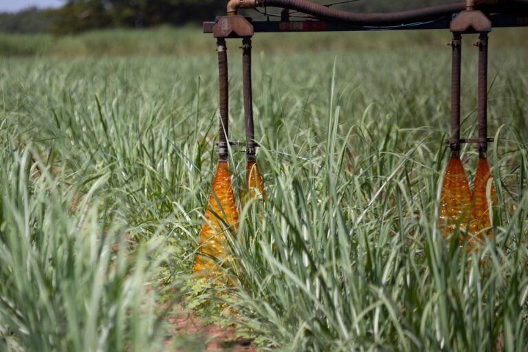 Irrigação com vinhaça é alternativa para salvar canaviais em períodos secos