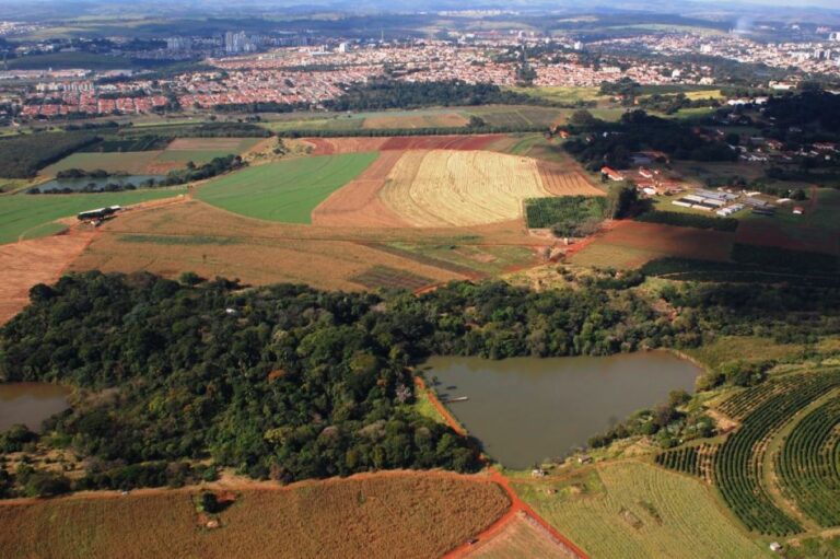 Governo de SP realizará audiência pública sobre venda de fazendas experimentais