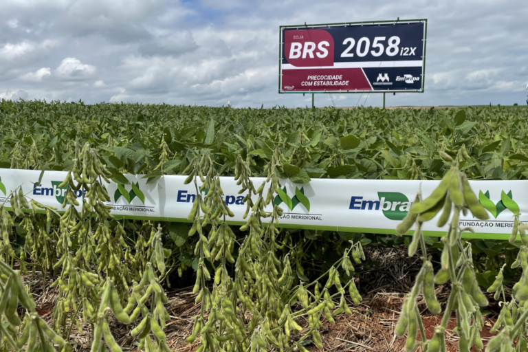 Projeto que altera Lei de Cultivares será retirado da Câmara; entenda o caso