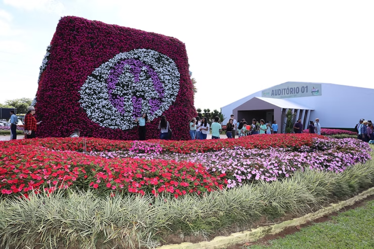 Foto: Tecnoshow Comigo/Divulgação