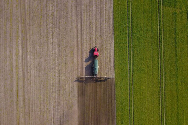 Dependência da China expõe agro brasileiro a futuras perdas, alerta Markestrat