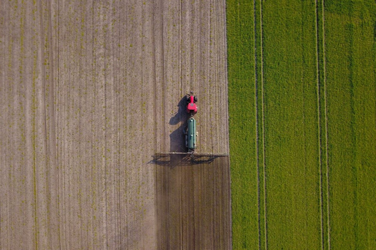 Segundo Markestrat, Brasil se tornou dependente das compras chinesas de produtos do agronegócio - Foto: Adobe Stock