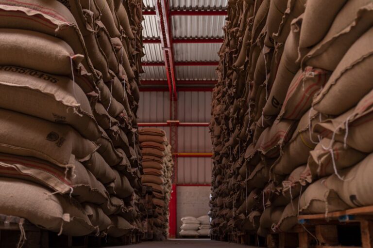 Exportações do agronegócio somam US$ 15,6 bilhões em março