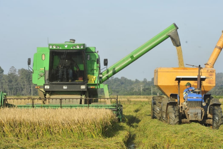 Colheita do arroz no RS supera 71%, mas clima adverso acende alerta