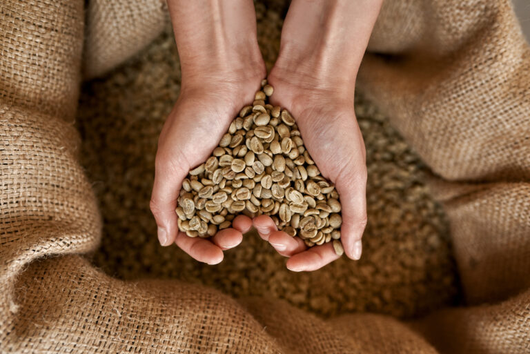 Falta de estrutura portuária impede embarque de 638 mil sacas de café em março