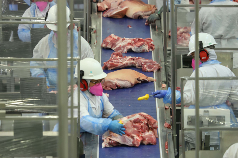 Junho registra 2º maior volume de exportações de carne suína para um mês