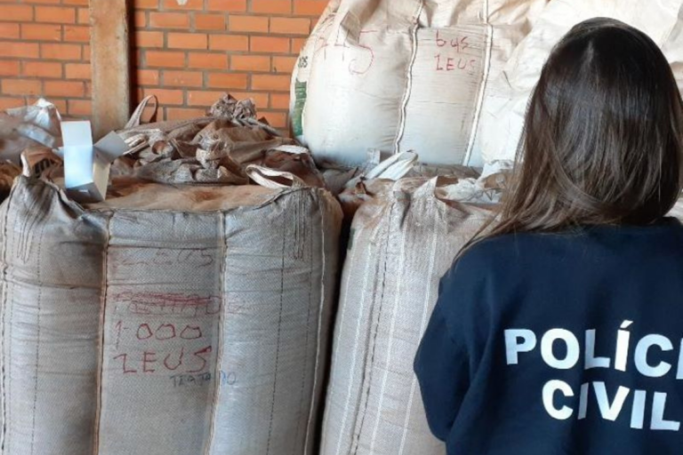 Pirataria de sementes de soja gera perdas de R$ 10 bi ao ano