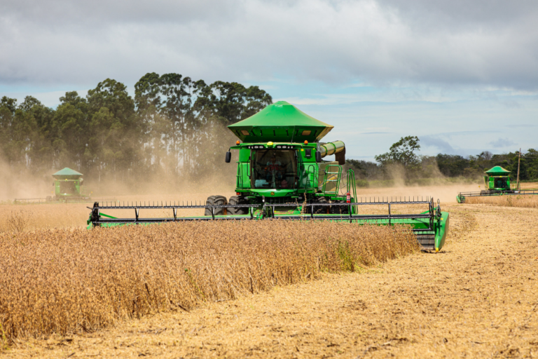 MT atinge recorde histórico de produtividade com soja, afirma Imea