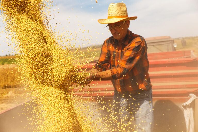 Com quebra de safra, PIB da cadeia da soja e do biodiesel recua 5,03% em 2024