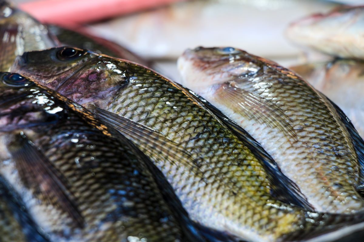 Foto: Adobe Stock
