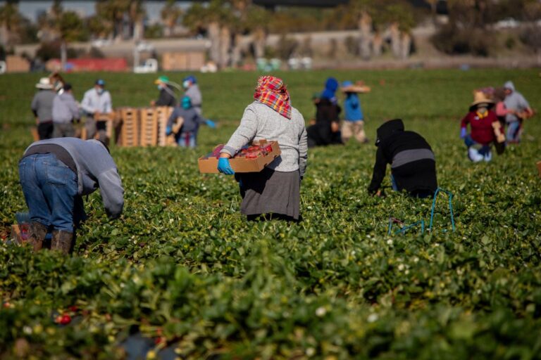 Agropecuária demite mais em março e perde 5,6 mil vagas