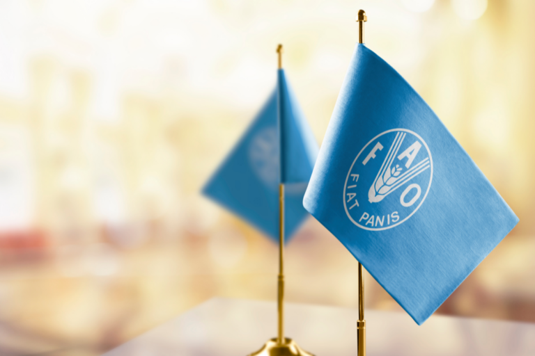 Índice de preço de alimentos da FAO sobe 1,2 ponto em abril