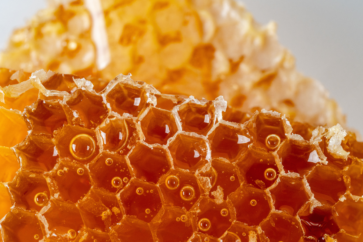 Foto: Adobe Stock
