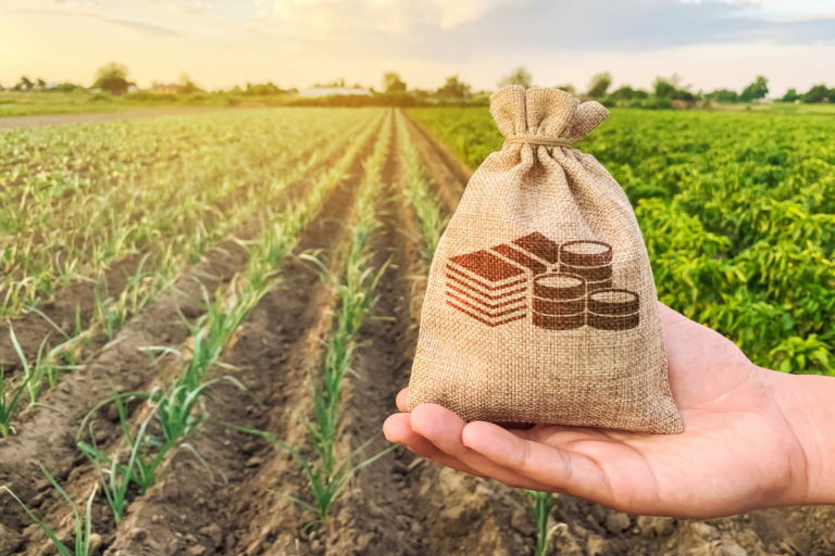 “O Plano Safra já está impactado”, diz secretário de Política Agrícola
