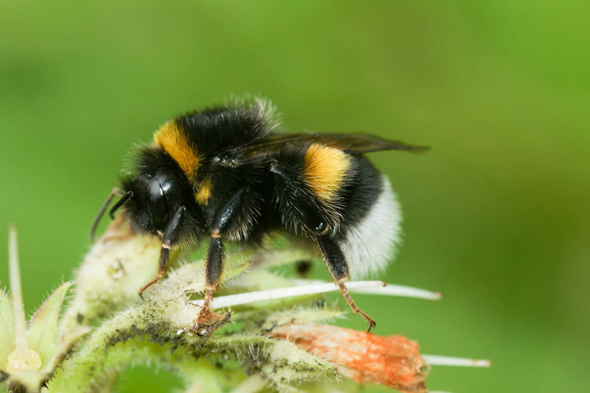 Foto: Adobe Stock 