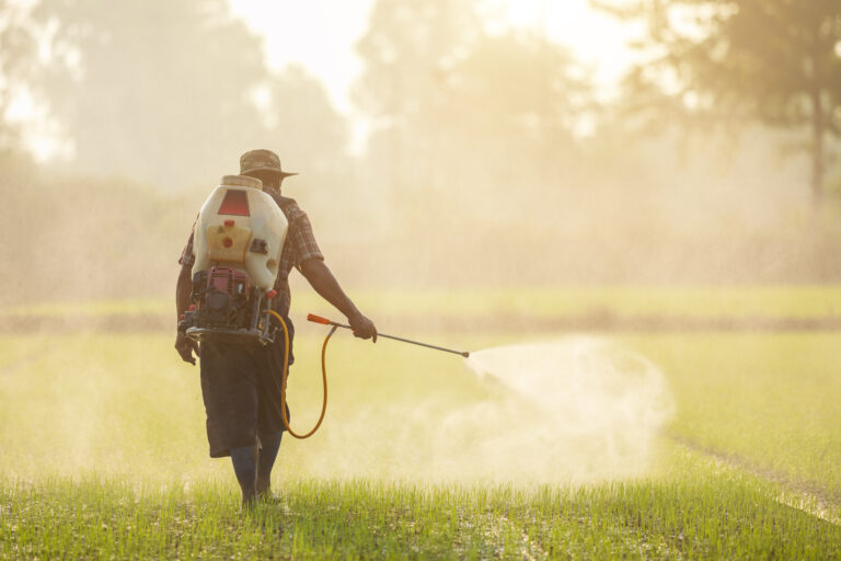 Manejo Integrado de Plantas Daninhas: entenda como fazer