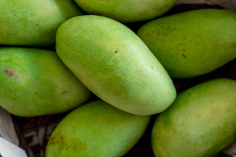 Conheça a manga Carabao, uma das frutas mais doces que existe