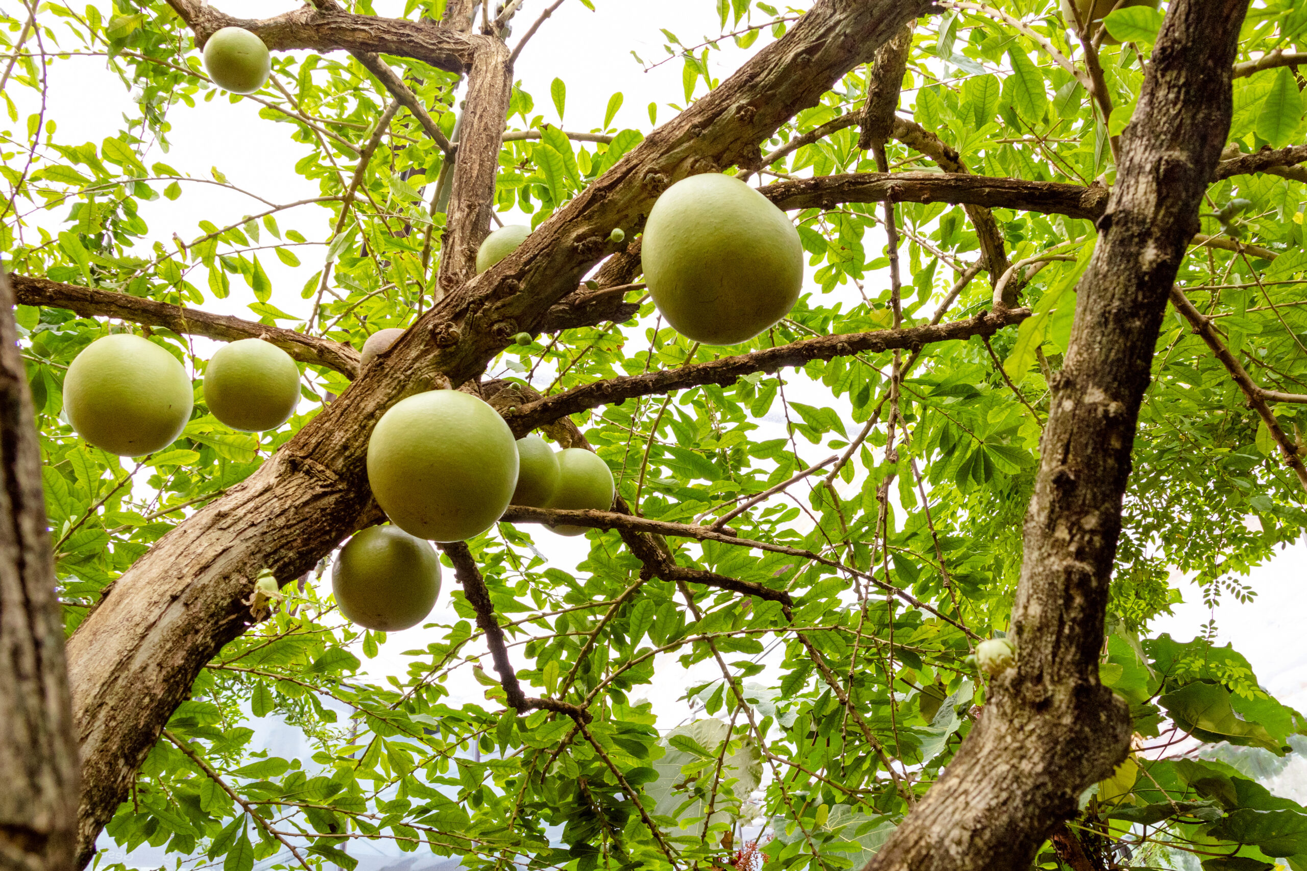 Foto: Adobe Stock