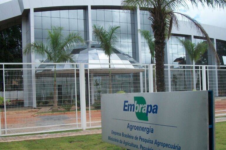 Embrapa comemora 52 anos e divulga pacote de lançamentos com foco na sustentabilidade