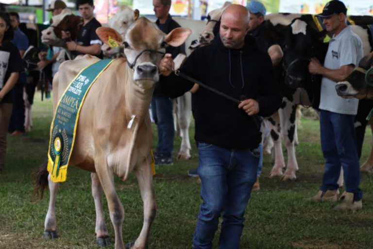 RS: Fenasul Expoleite 2025 deve reunir 3 mil animais em Esteio