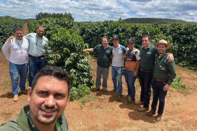 MG: produtividade do café cresce até 28% com assistência técnica