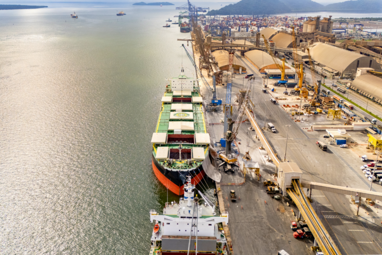 Fertilizantes: Porto de Paranaguá bate recorde de descarga com navio chinês