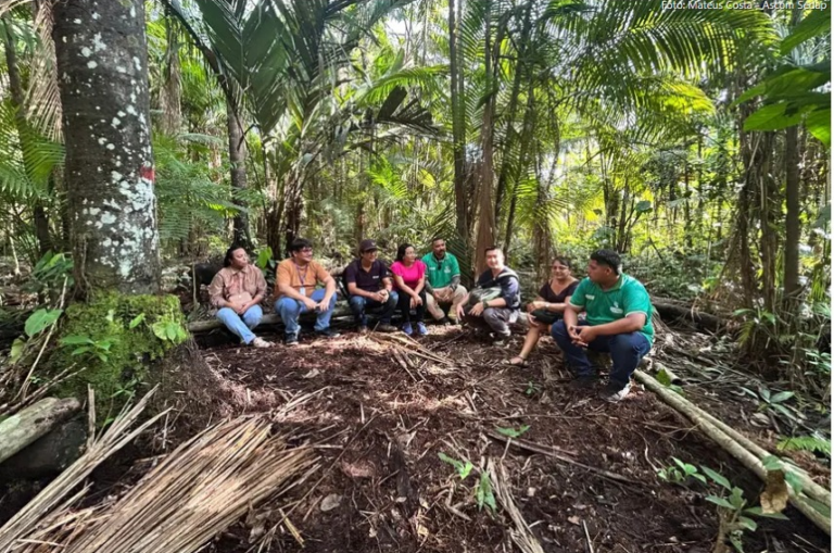 Governo britânico financiará programa piloto para impulsionar atividades sustentáveis na Amazônia