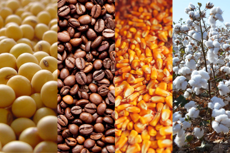 Confira as tendências do mercado agrícola e da pecuária nesta semana