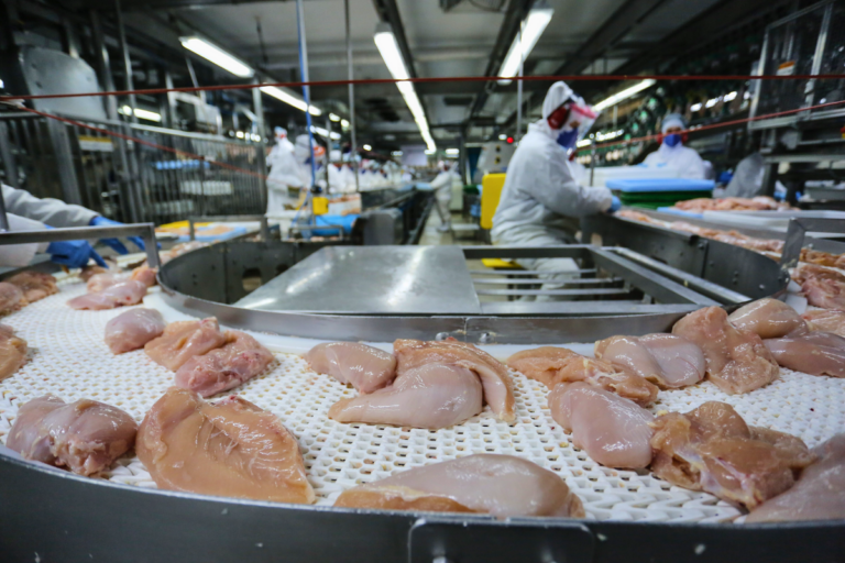 Israel, Coreia do Sul e Bolívia reabrem mercado à carne de frango do Brasil