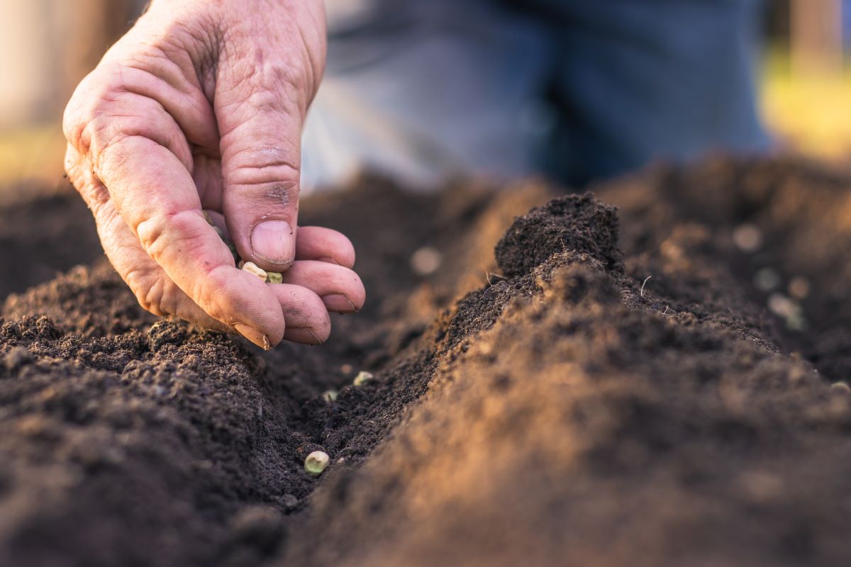 Necessidade de crédito do agronegócio brasileiro ultrapassa R$ 1 trilhão por ano - Foto: Adobe Stock