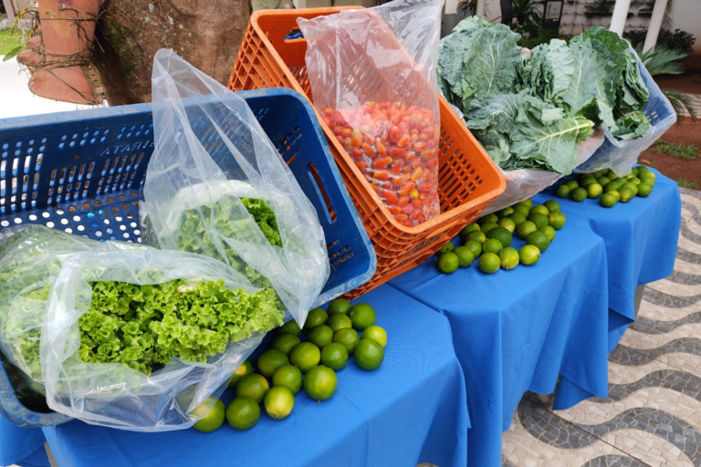 MS lança selo para certificar alimentos artesanais da agricultura familiar