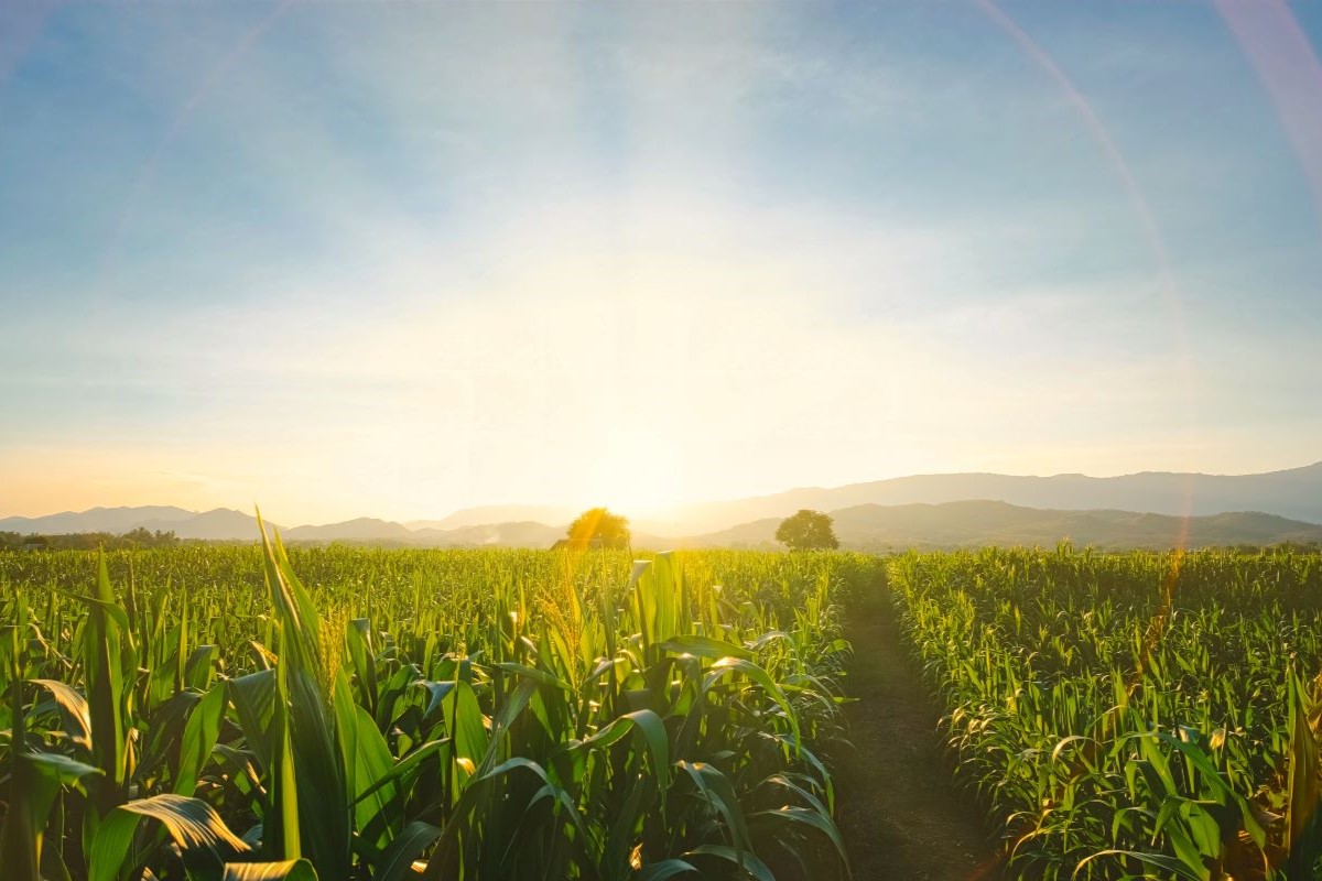 Foto: Adobe Stock
