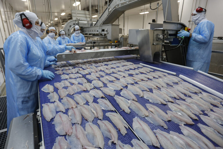 Exportações de pescados do Paraná crescem mais de 4.700% em 5 anos