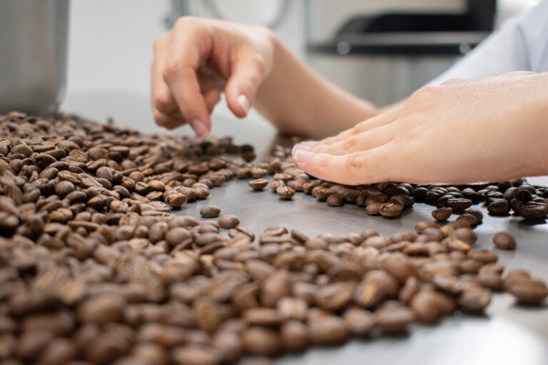 Exportação de café mantém alta na receita, apesar de queda no volume embarcado