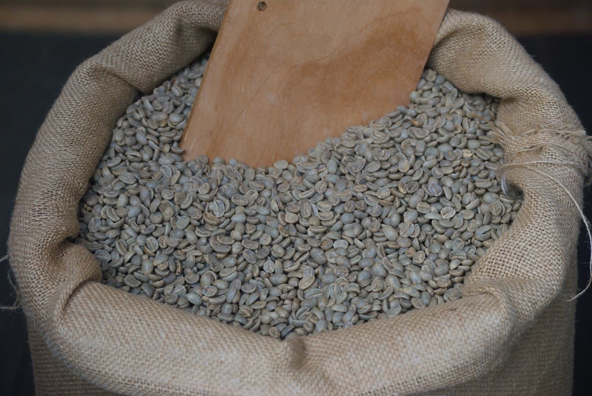 Café não torrado foi um dos destaques da agropecuária - Foto: Adobe Stock