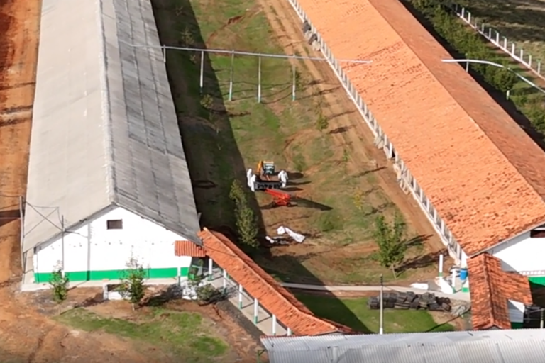 Granja com foco de gripe aviária no RS passa por desinfecção; veja o vídeo