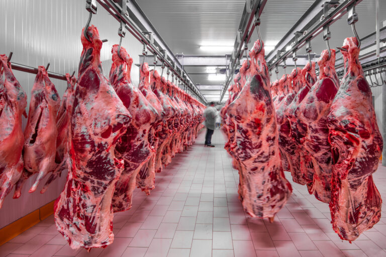 Quem perde com o tarifaço dos EUA sobre a carne brasileira?